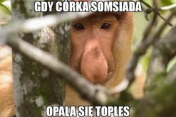 Maska "nosacz polski" Janusz
