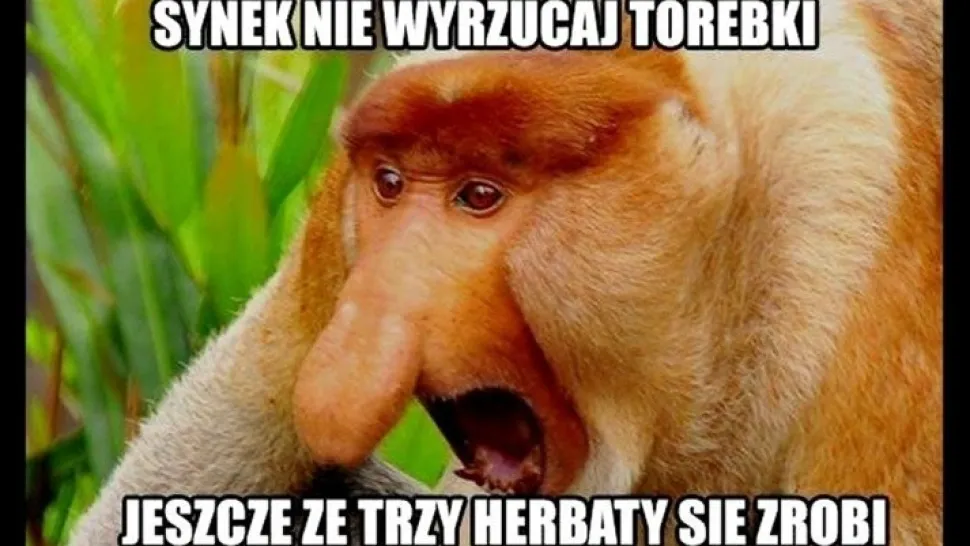 Maska "nosacz polski" Janusz