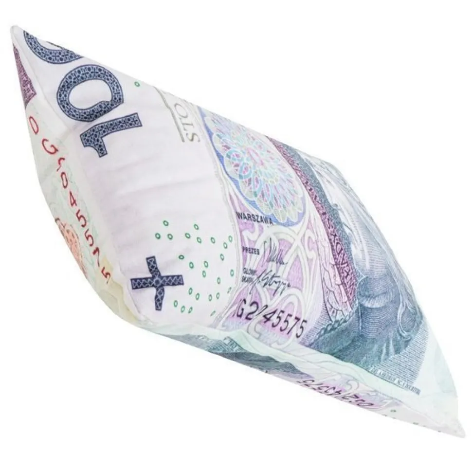 Poduszka STÓWKA 100 PLN